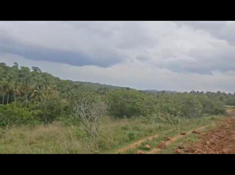  Agricultural Land 1 Acre for Sale in Ramanagara, Bangalore