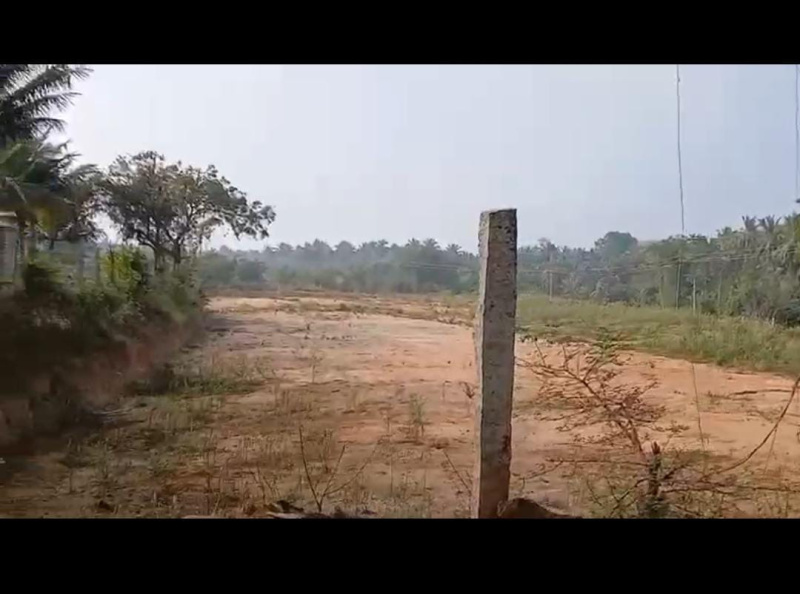  Agricultural Land 6 Acre for Sale in Harlur, Bangalore