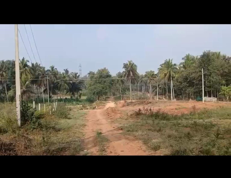  Agricultural Land 6 Acre for Sale in Harlur, Bangalore
