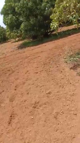  Agricultural Land 1 Acre for Sale in Channapatna, Bangalore