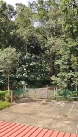  Agricultural Land 8 Acre for Sale in KHB Colony, Chikmagalur