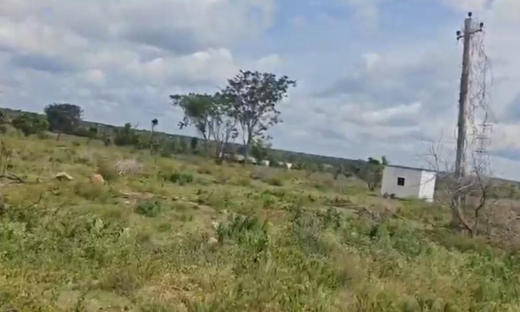 Agricultural Land 19 Acre for Sale in Halaguru, Mandya