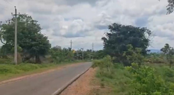  Agricultural Land for Sale in Halaguru, Mandya