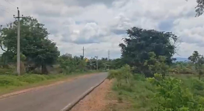  Agricultural Land 11 Acre for Sale in Halaguru, Mandya