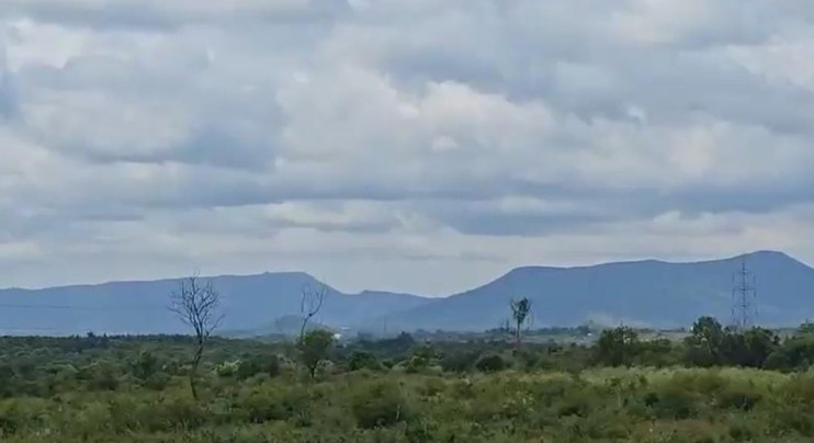  Agricultural Land 11 Acre for Sale in Halaguru, Mandya