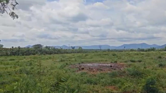  Agricultural Land 11 Acre for Sale in Halaguru, Mandya