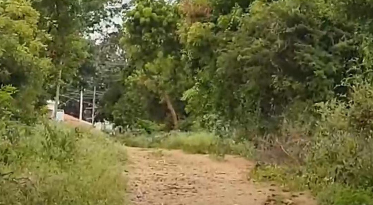  Agricultural Land 4 Acre for Sale in Malavalli, Mandya
