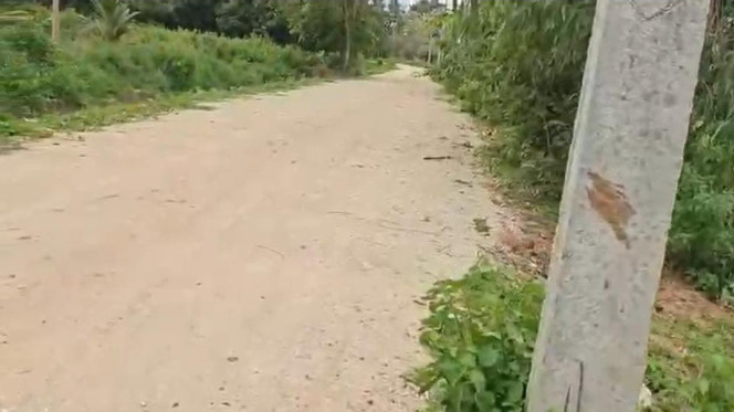  Agricultural Land 2 Acre for Sale in Malavalli, Mandya