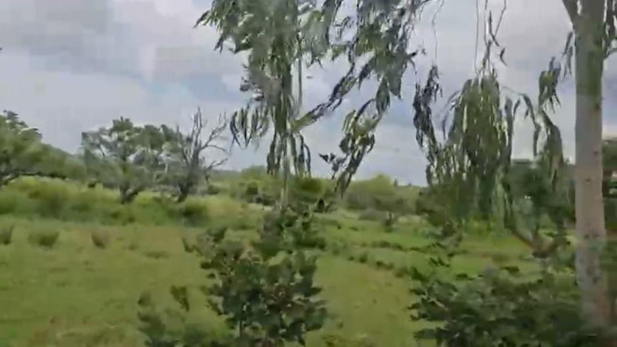  Agricultural Land 2 Acre for Sale in Malavalli, Mandya