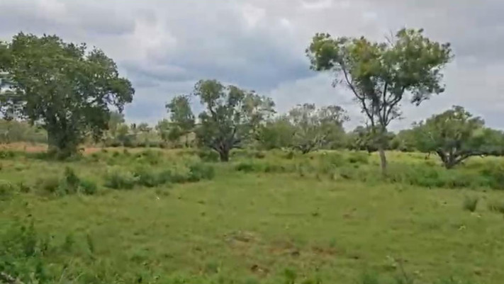  Agricultural Land 2 Acre for Sale in Malavalli, Mandya