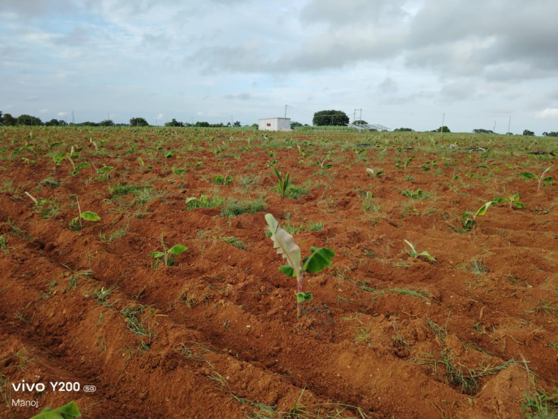  Agricultural Land 9 Acre for Sale in BEML Nagar, Mysore