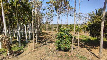  Agricultural Land for Sale in Nelamangala, Bangalore