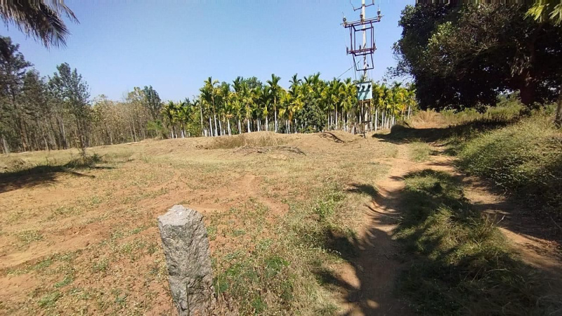  Agricultural Land 2 Acre for Sale in Nelamangala, Bangalore