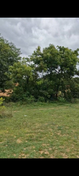  57 Guntha Agricultural/Farm Land for Sale in Doddaballapur, Bangalore