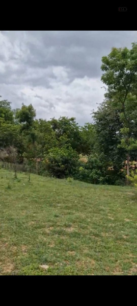  57 Guntha Agricultural/Farm Land for Sale in Doddaballapur, Bangalore