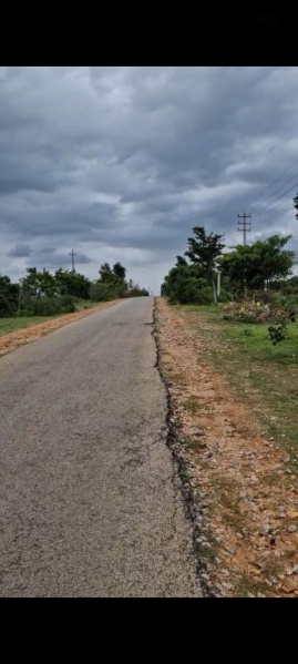  57 Guntha Agricultural/Farm Land for Sale in Doddaballapur, Bangalore
