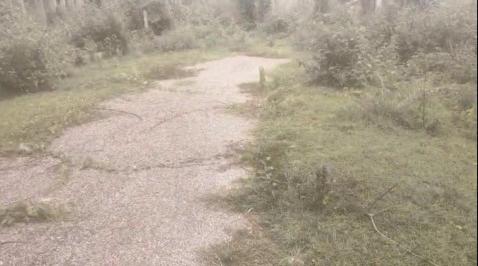  Agricultural Land 1500 Sq.ft. for Sale in B N Road, Mysore