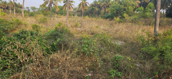  Agricultural Land for Sale in Ashoka Road, Mysore
