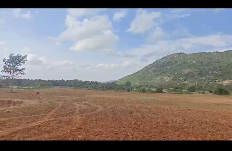  Agricultural Land 50 Acre for Sale in Keelara, Mandya