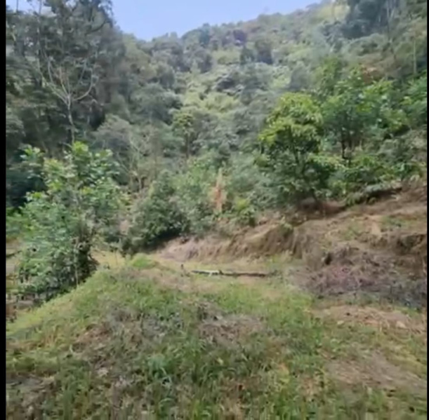  3 Acre Agricultural/Farm Land for Sale in Madikeri, Kodagu