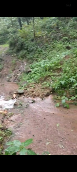 Agricultural Land 3 Acre for Sale in Madikeri, Kodagu