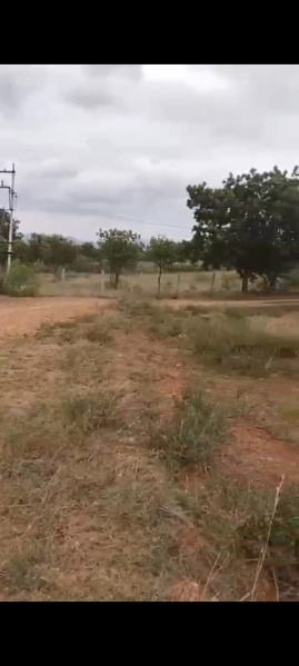  Agricultural Land 4 Acre for Sale in Kollegal, Chamrajnagar