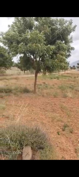  Agricultural Land 4 Acre for Sale in Kollegal, Chamrajnagar