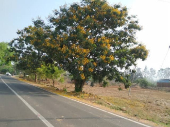  Agricultural Land for Sale in Doddaballapur, Bangalore