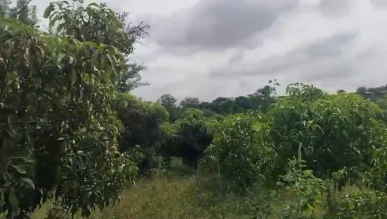  Agricultural Land 6 Acre for Sale in Ramanagara, Bangalore