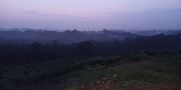  Agricultural Land 3 Acre for Sale in Guruvayanakere, Dakshina Kannada
