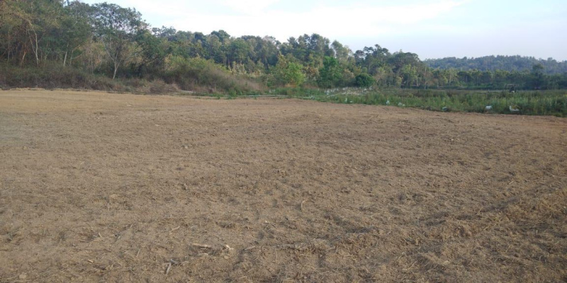  Agricultural Land 3 Acre for Sale in Mudigere, Chikmagalur