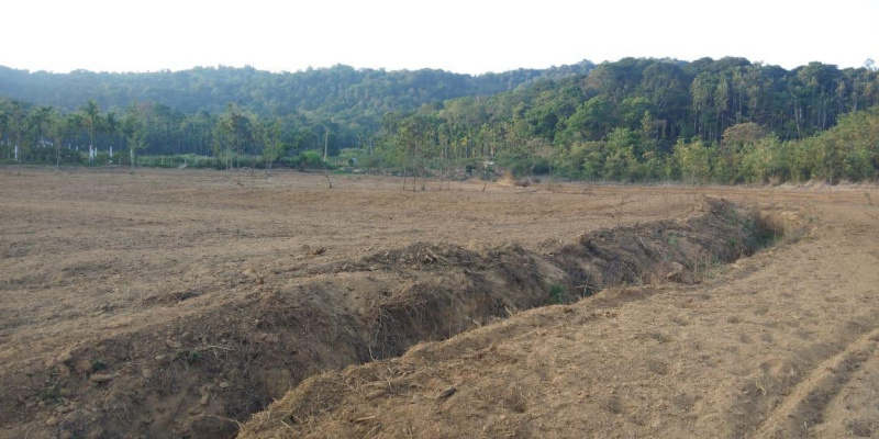  Agricultural Land 3 Acre for Sale in Mudigere, Chikmagalur