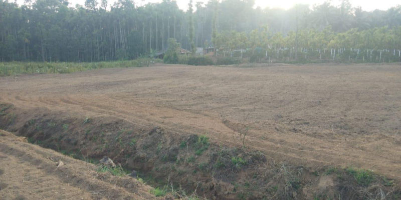  Agricultural Land 3 Acre for Sale in Mudigere, Chikmagalur