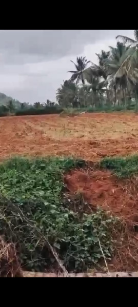  Agricultural Land 50 Guntha for Sale in Kanakapura, Bangalore
