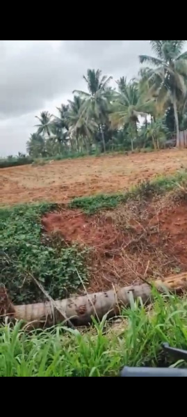  Agricultural Land 50 Guntha for Sale in Kanakapura, Bangalore