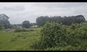  Agricultural Land for Sale in Hebbalu, Hassan