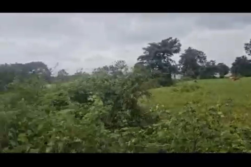  Agricultural Land 5 Acre for Sale in Hebbalu, Hassan