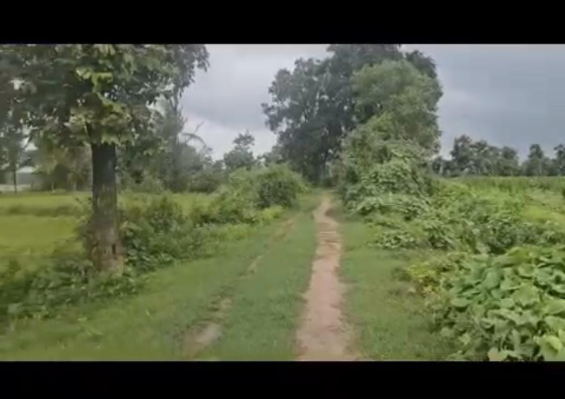  Agricultural Land 5 Acre for Sale in Hebbalu, Hassan
