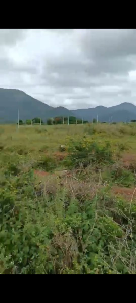  Agricultural Land 30 Acre for Sale in Yelandur, Chamrajnagar