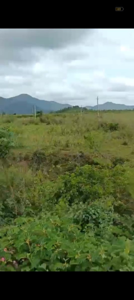  Agricultural Land 30 Acre for Sale in Yelandur, Chamrajnagar