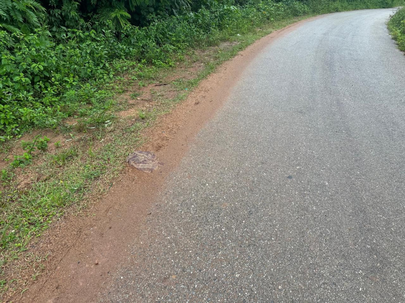  Agricultural Land 3 Acre for Sale in Belur Hassan
