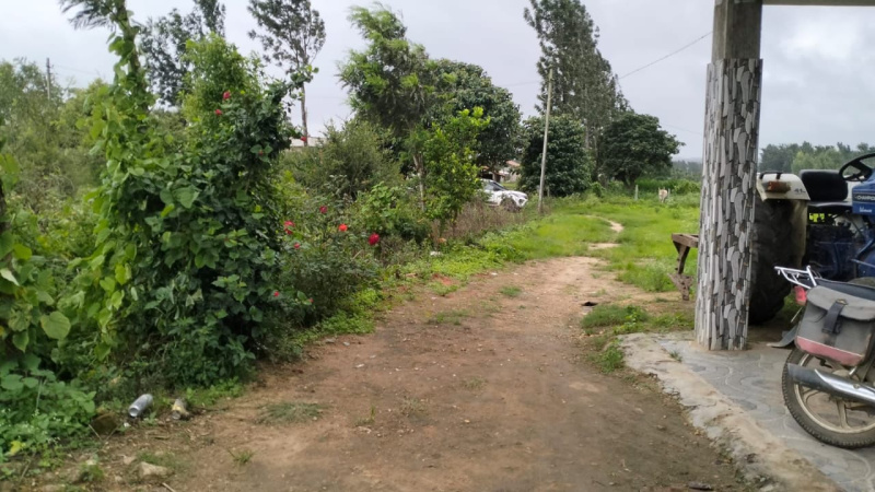  Agricultural Land 4 Acre for Sale in Kote, Chikmagalur