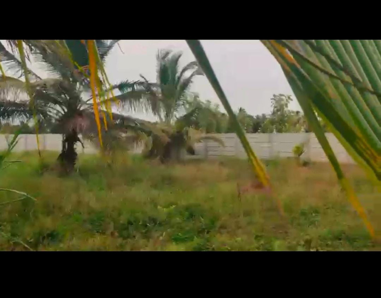  Agricultural Land 1 Acre for Sale in Srirangapatnam, Mysore