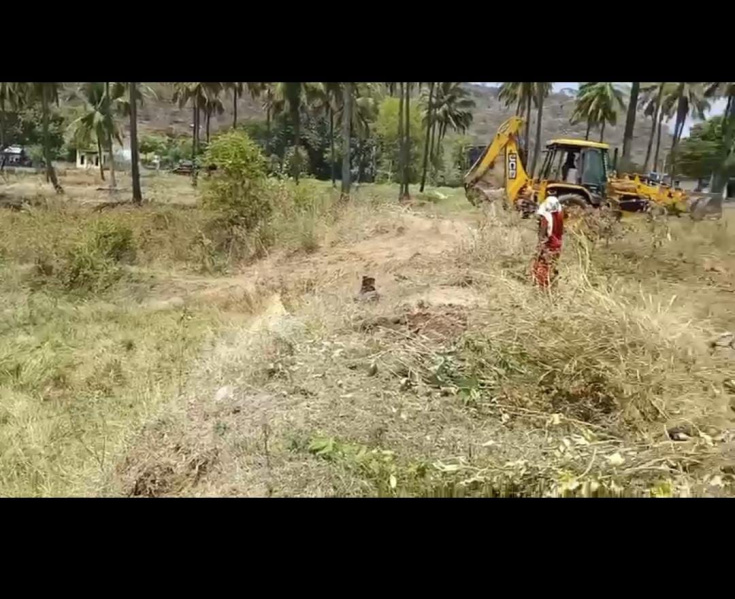  Agricultural Land 14 Acre for Sale in Malavalli, Mandya
