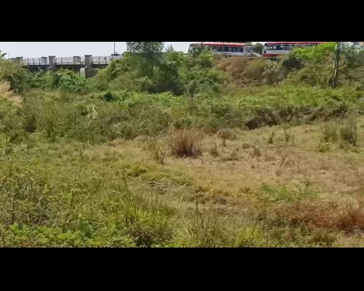  Agricultural Land 14 Acre for Sale in Malavalli, Mandya