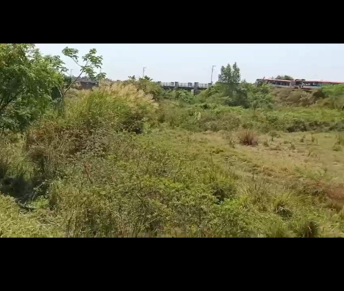  Agricultural Land 14 Acre for Sale in Malavalli, Mandya