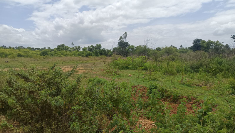  Agricultural Land 3 Acre for Sale in Malavalli, Mandya