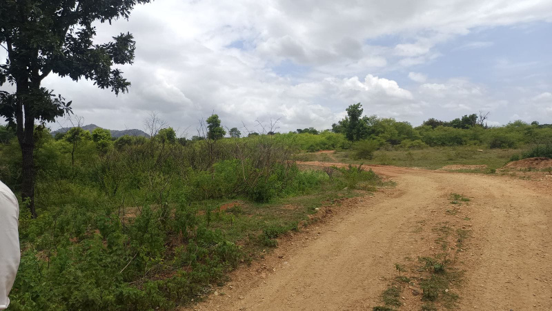  Agricultural Land 3 Acre for Sale in Malavalli, Mandya