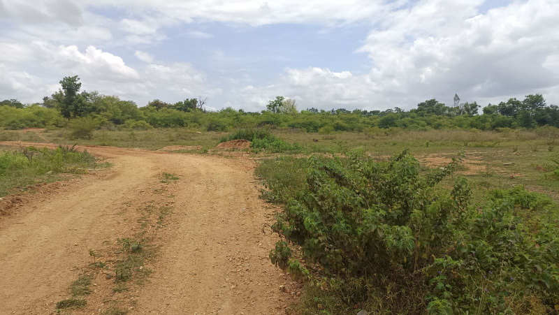  Agricultural Land 3 Acre for Sale in Malavalli, Mandya