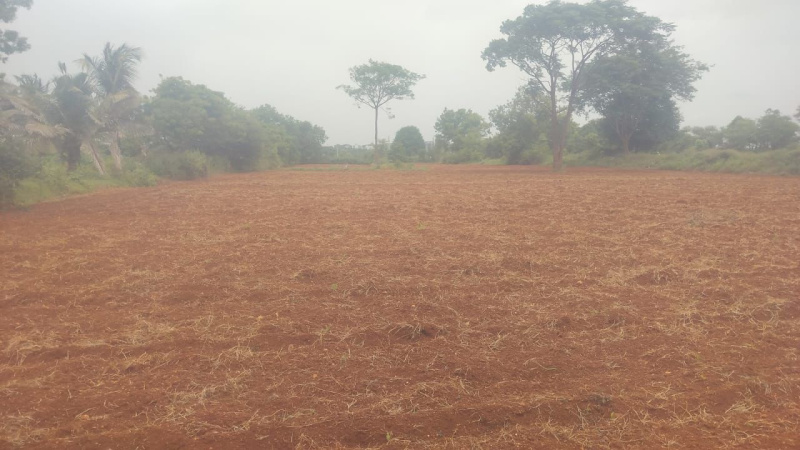  Agricultural Land 4 Acre for Sale in Mysore Banglore Highway